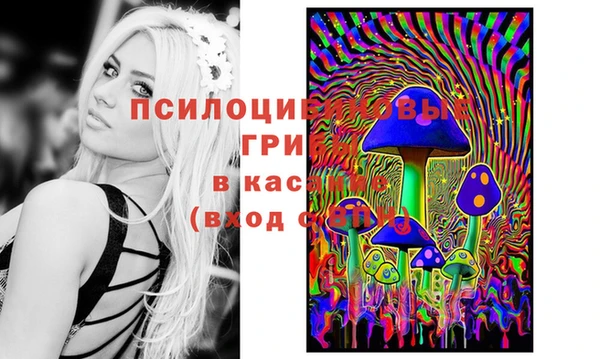 синтетический гашиш Алексеевка