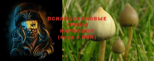 мет Алзамай