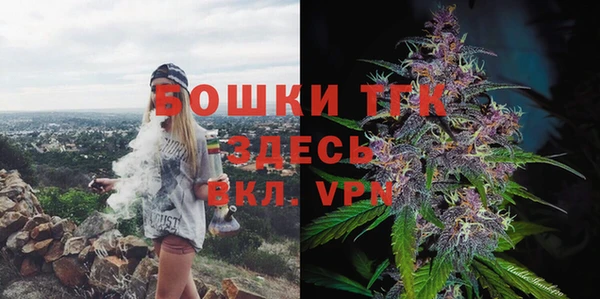 винт Абаза